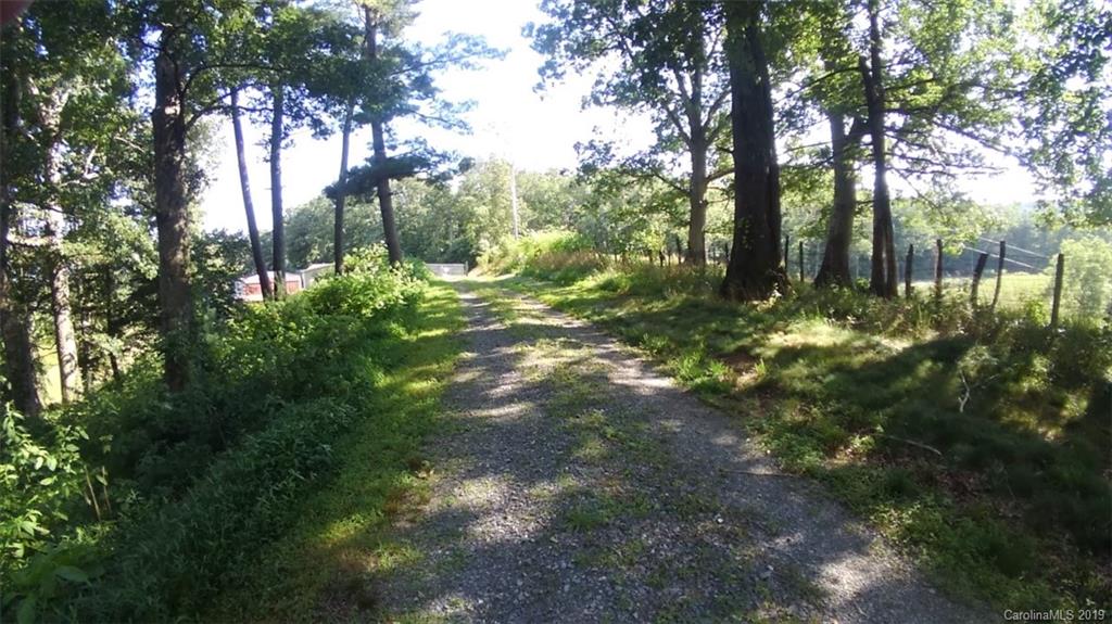 414 Piney Grove Road Marshall, NC 28753 - Photo 9 of 24 Gallery Image 9