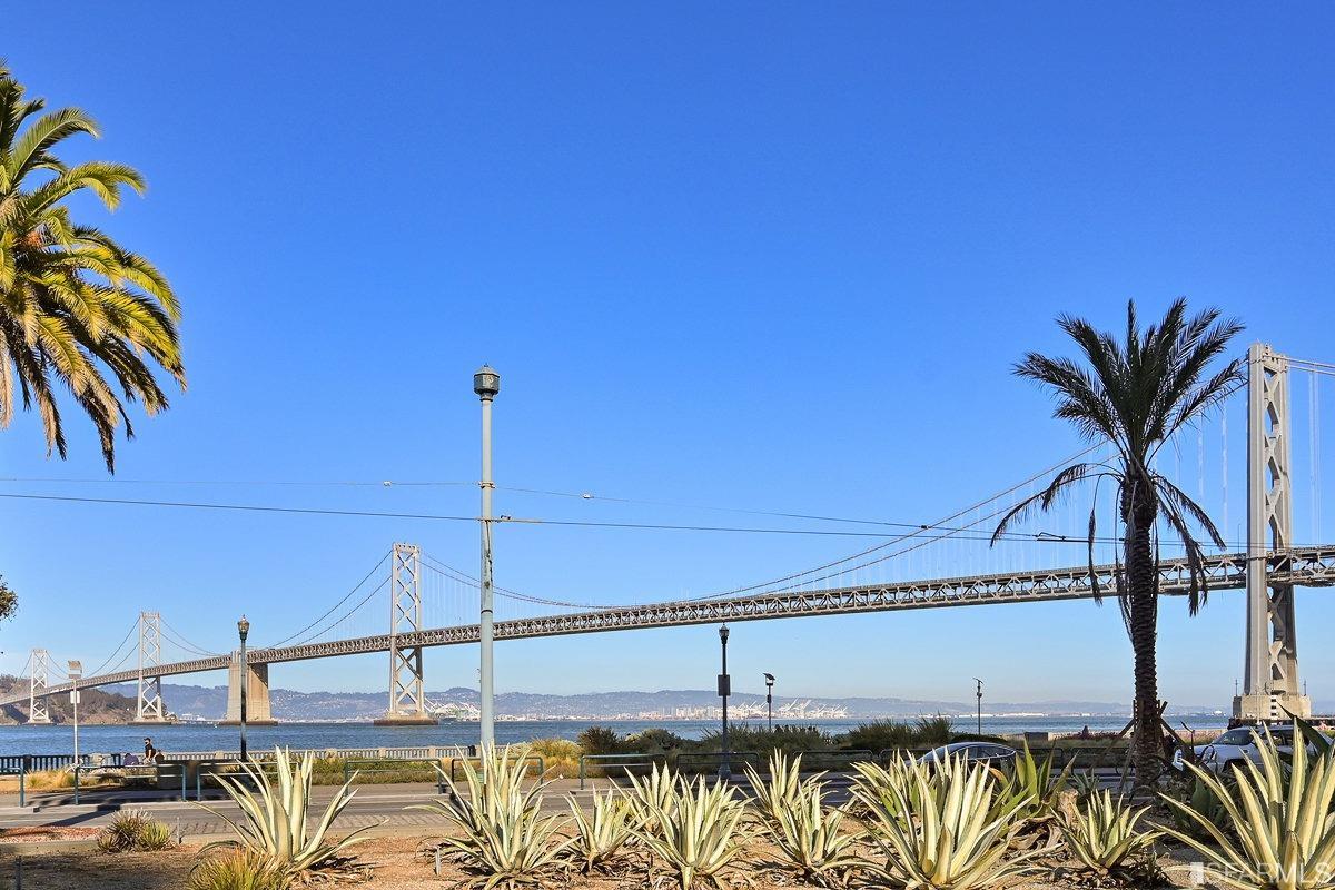 338 Spear Street, Unit 39E San Francisco, CA 94105 - Photo 67 of 97 a view of a ocean with a palm tree