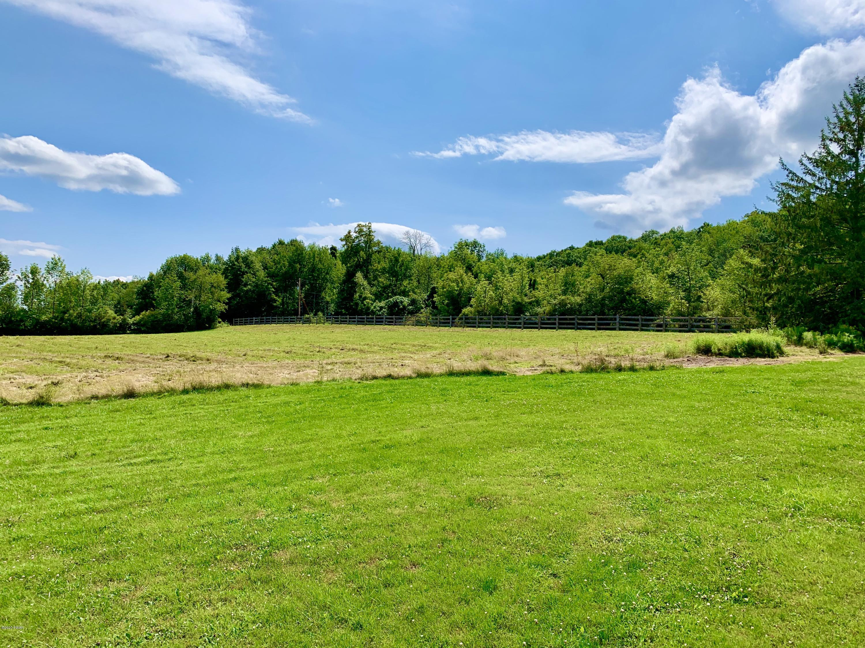 94 North Smith Road Waymart, PA 18472 - Photo 7 of 33 BACK YARD VIEW 2