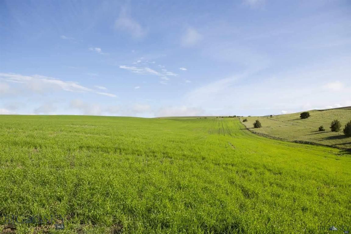 0 Pheasant Ridge Lane Belgrade, MT 59714 - Photo 1 of 1 Gallery Image 1