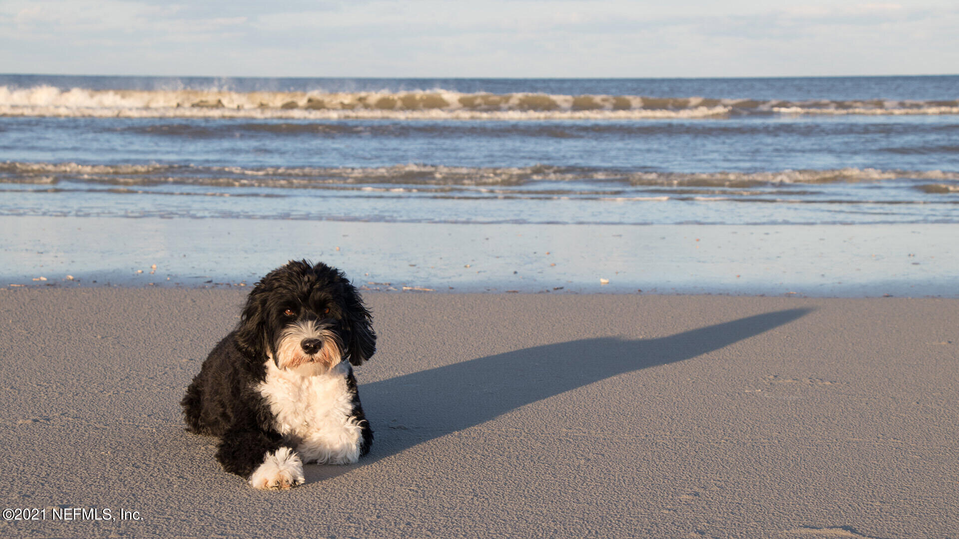 97 Coastline Way Street St. Augustine, FL 32092 - Photo 19 of 29 AdobeStock_267807738_WEBCROP