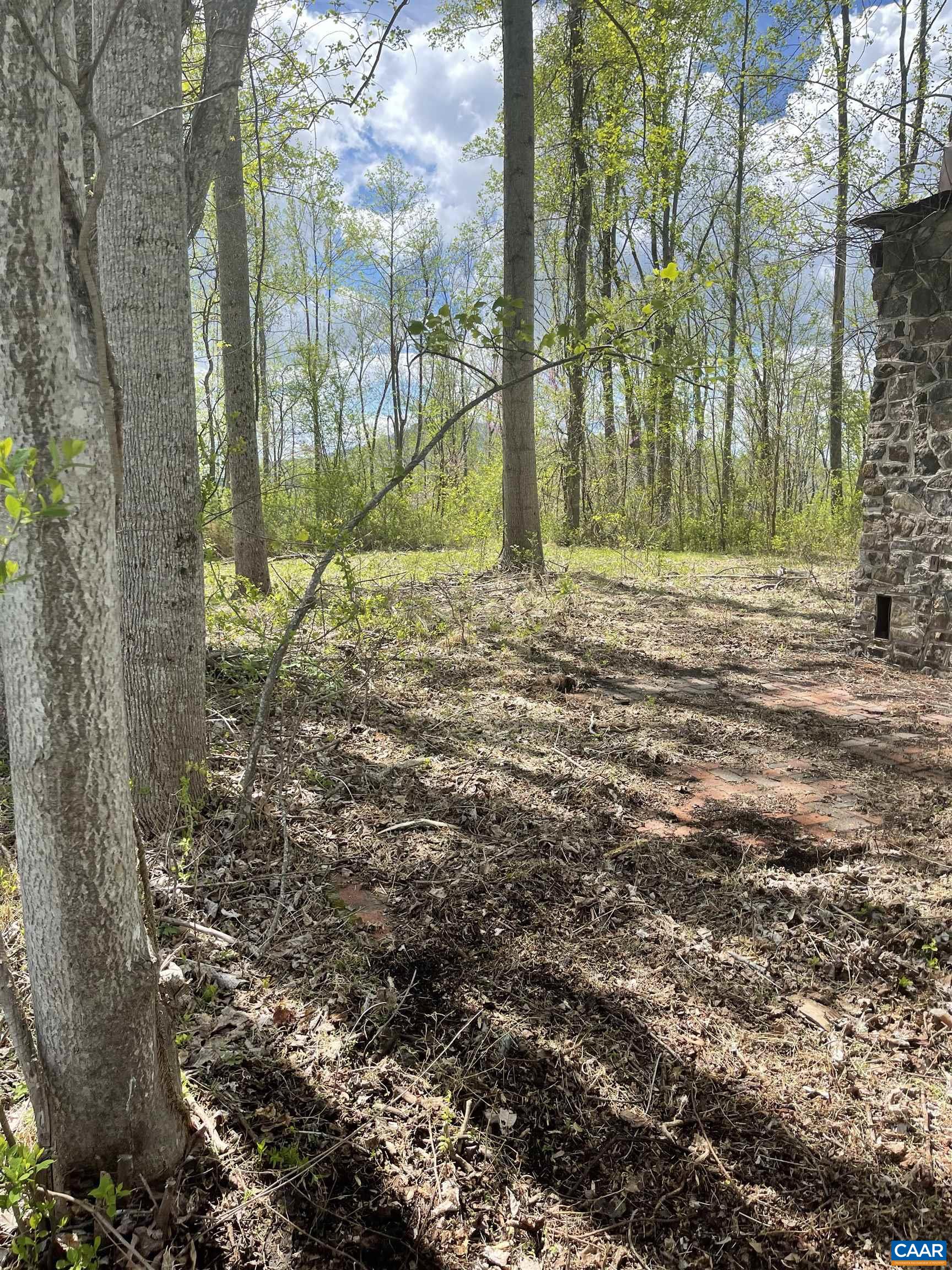 899 Wares Gap Road Amherst, VA 24521 - Photo 40 of 45 hardwoods are growing!!!
