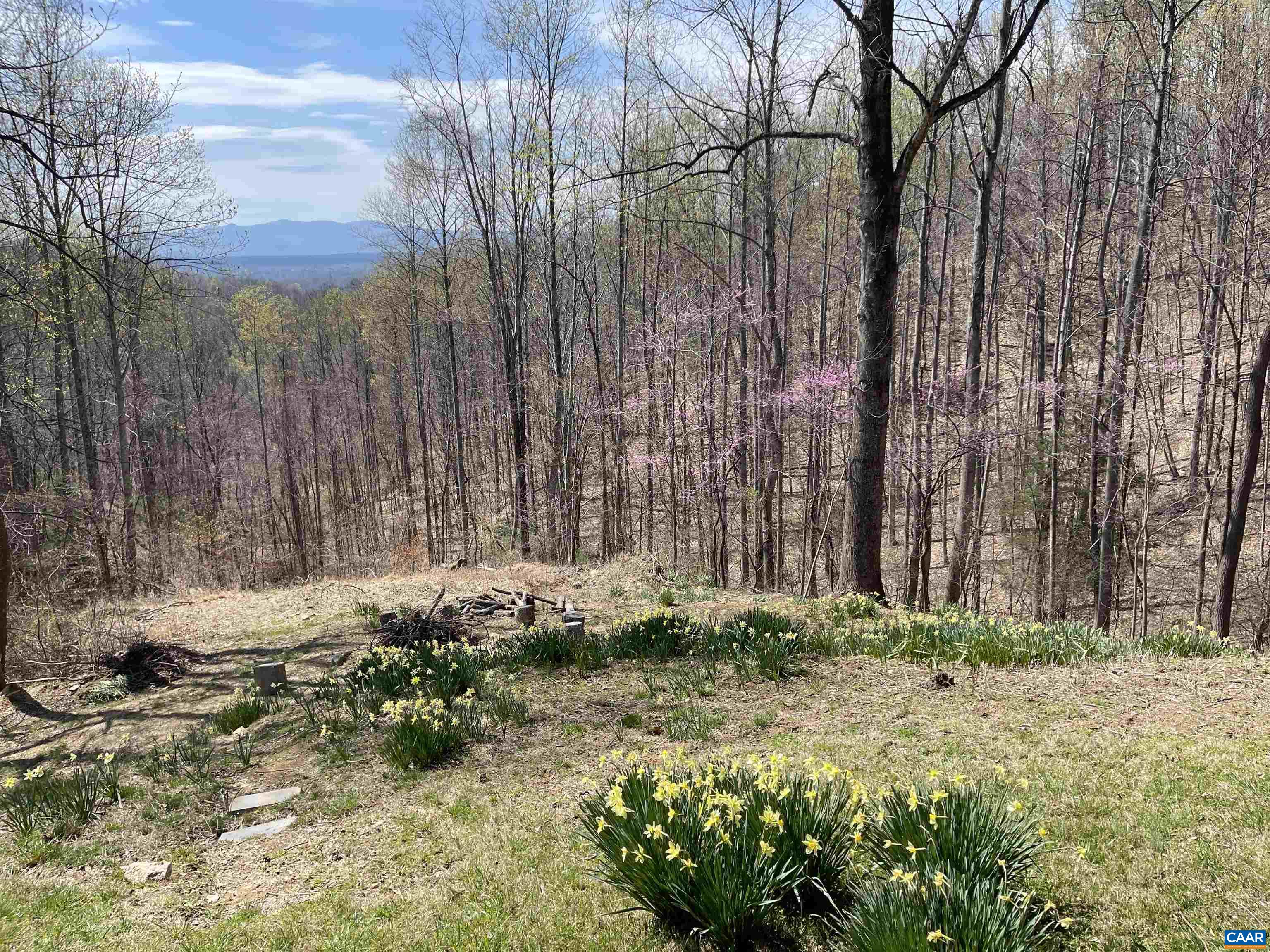 899 Wares Gap Road Amherst, VA 24521 - Photo 4 of 45 View to Allegheny Mts.