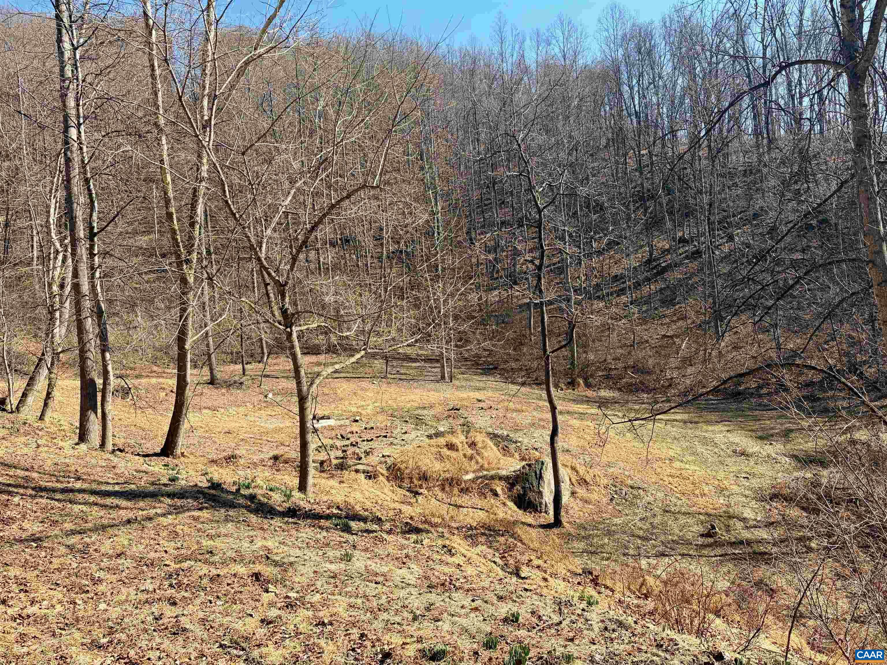 899 Wares Gap Road Amherst, VA 24521 - Photo 41 of 45 Gallery Image 41