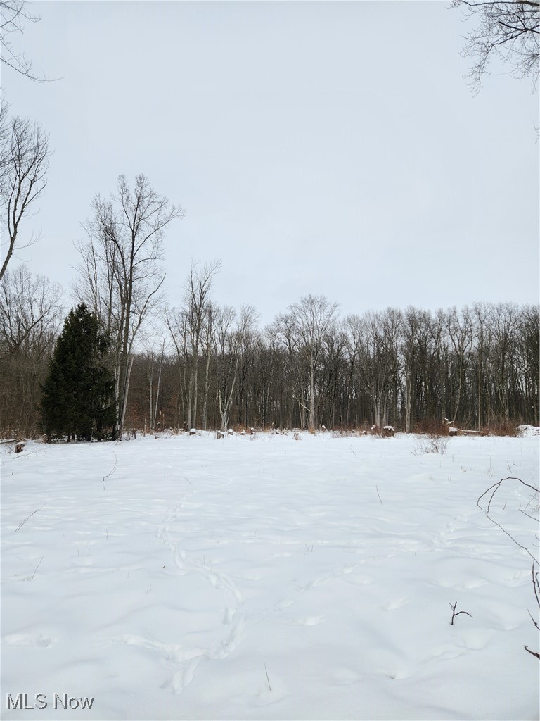 Royalton Road Columbia Station, OH 44028 - Photo 2 of 13 Yard layered in snow with a wooded view