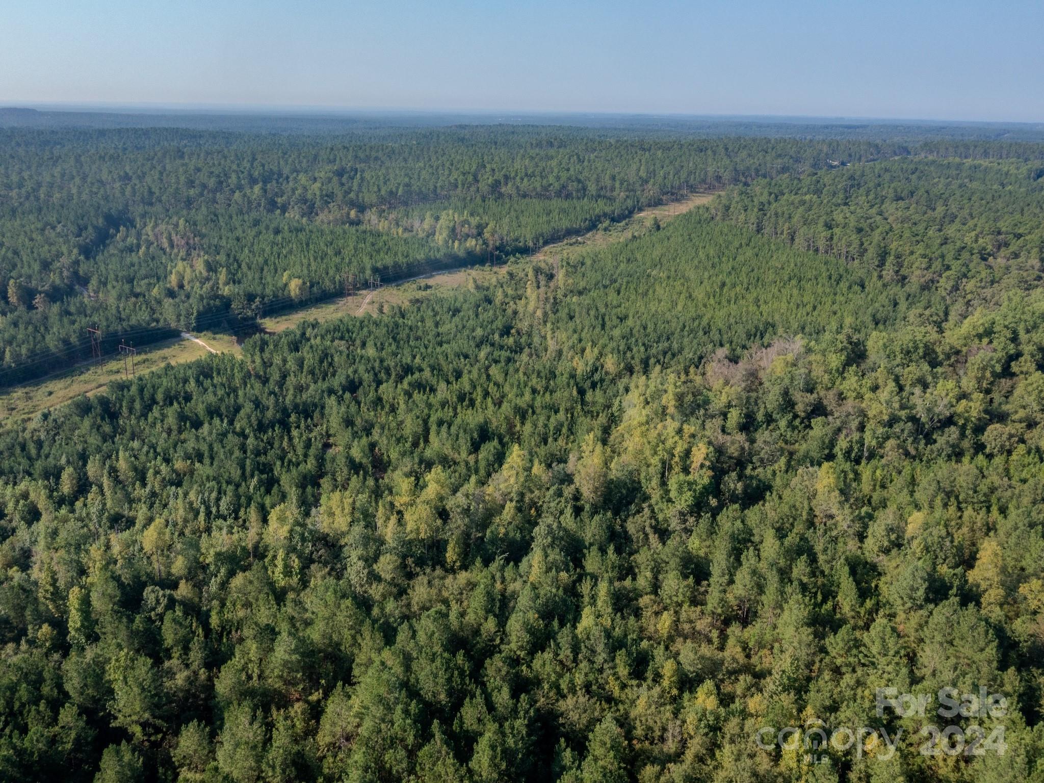 0 Jimmy Carriker Road Ellerbe, NC 28338 - Photo 8 of 30