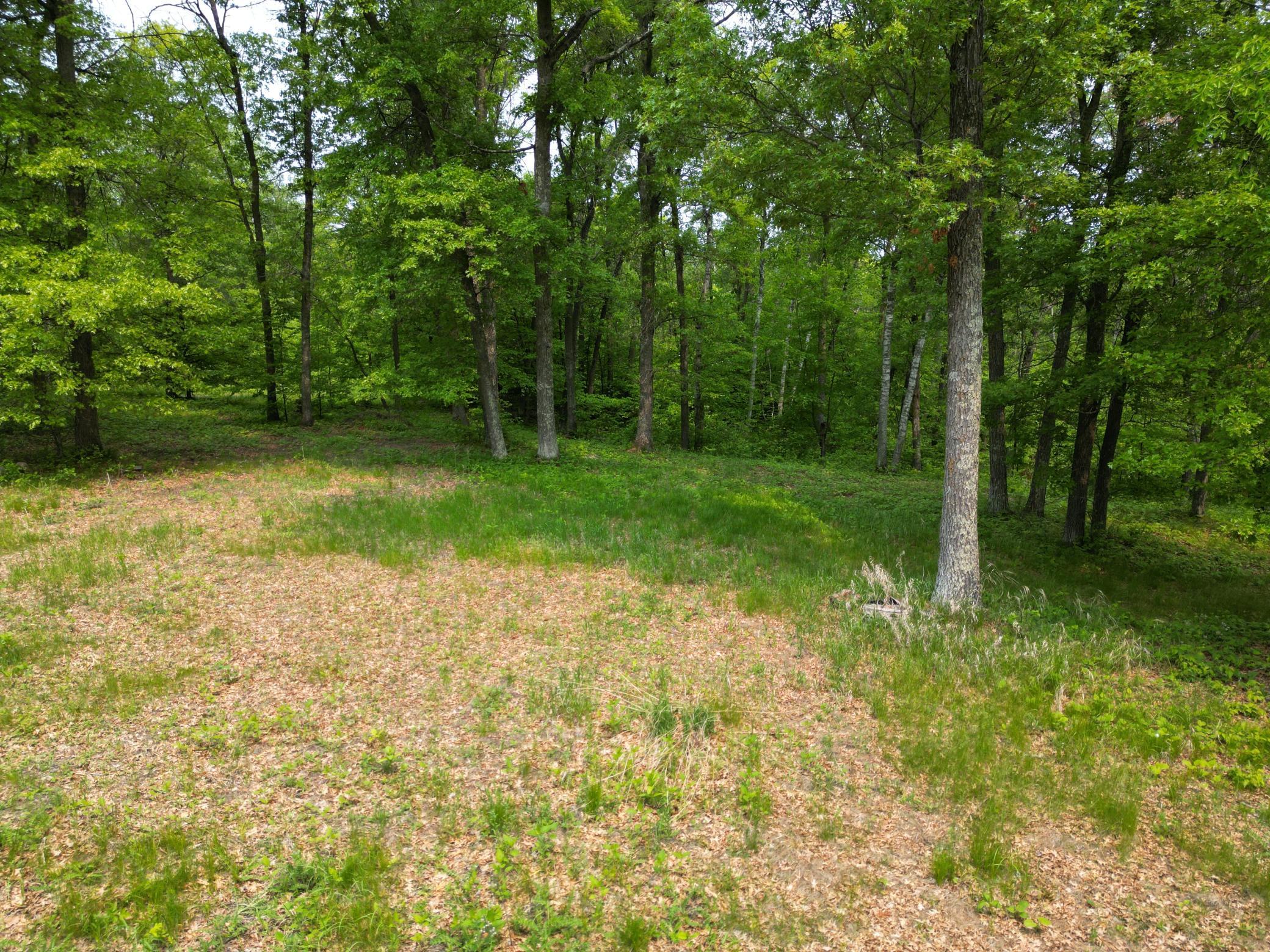Tbd Tbd Little Bass Lake Road Baxter, MN 56425 - Photo 16 of 27