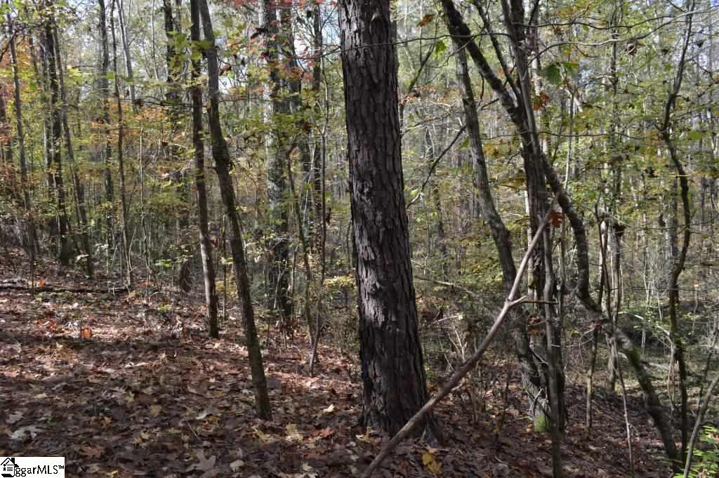 Kirby Road Waterloo, SC 29384 - Photo 2 of 20