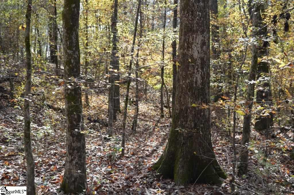 Kirby Road Waterloo, SC 29384 - Photo 11 of 20