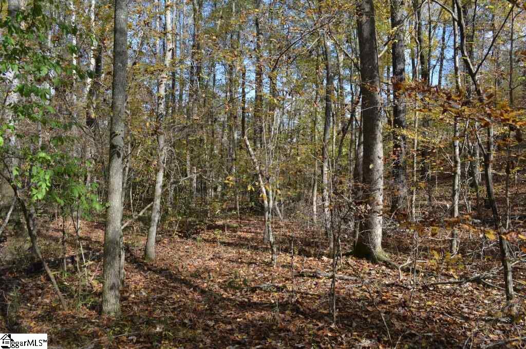 Kirby Road Waterloo, SC 29384 - Photo 12 of 20