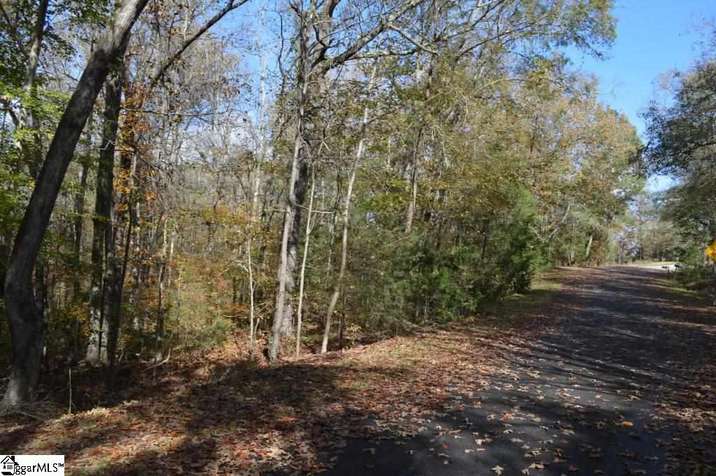 Kirby Road Waterloo, SC 29384 - Photo 13 of 20