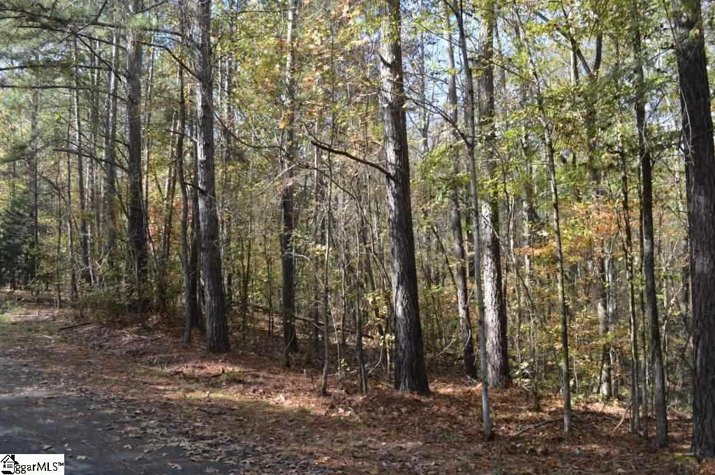 Kirby Road Waterloo, SC 29384 - Photo 14 of 20