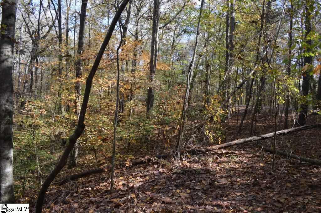 Kirby Road Waterloo, SC 29384 - Photo 3 of 20