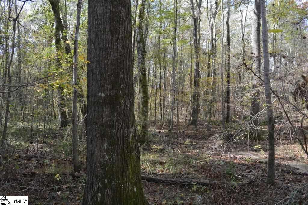 Kirby Road Waterloo, SC 29384 - Photo 4 of 20