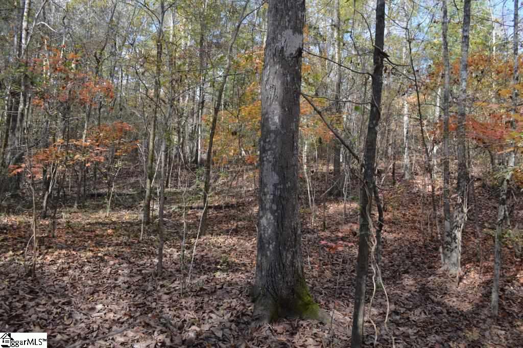 Kirby Road Waterloo, SC 29384 - Photo 5 of 20