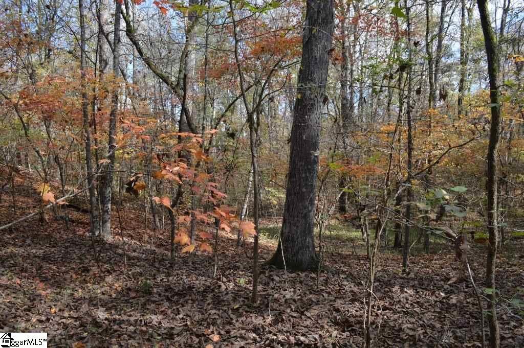 Kirby Road Waterloo, SC 29384 - Photo 6 of 20