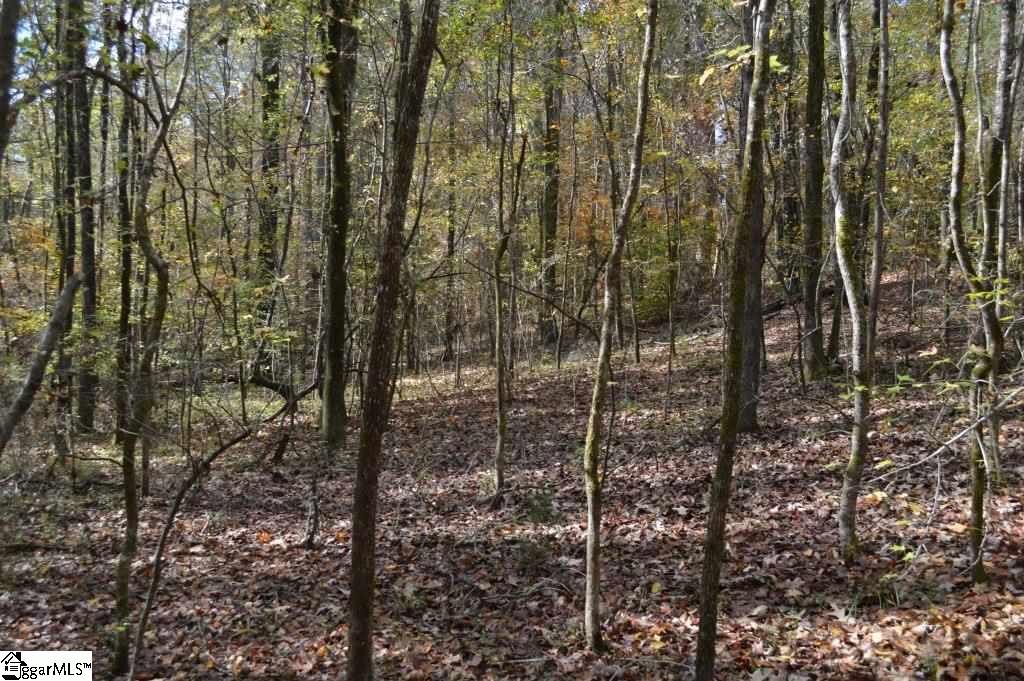 Kirby Road Waterloo, SC 29384 - Photo 7 of 20
