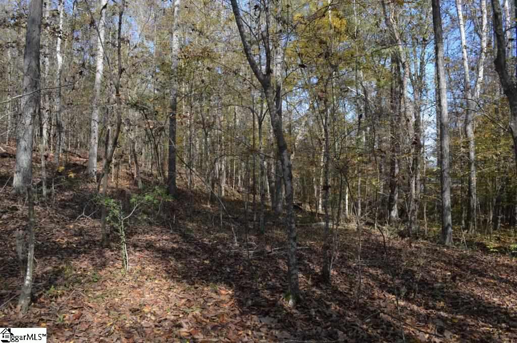 Kirby Road Waterloo, SC 29384 - Photo 8 of 20