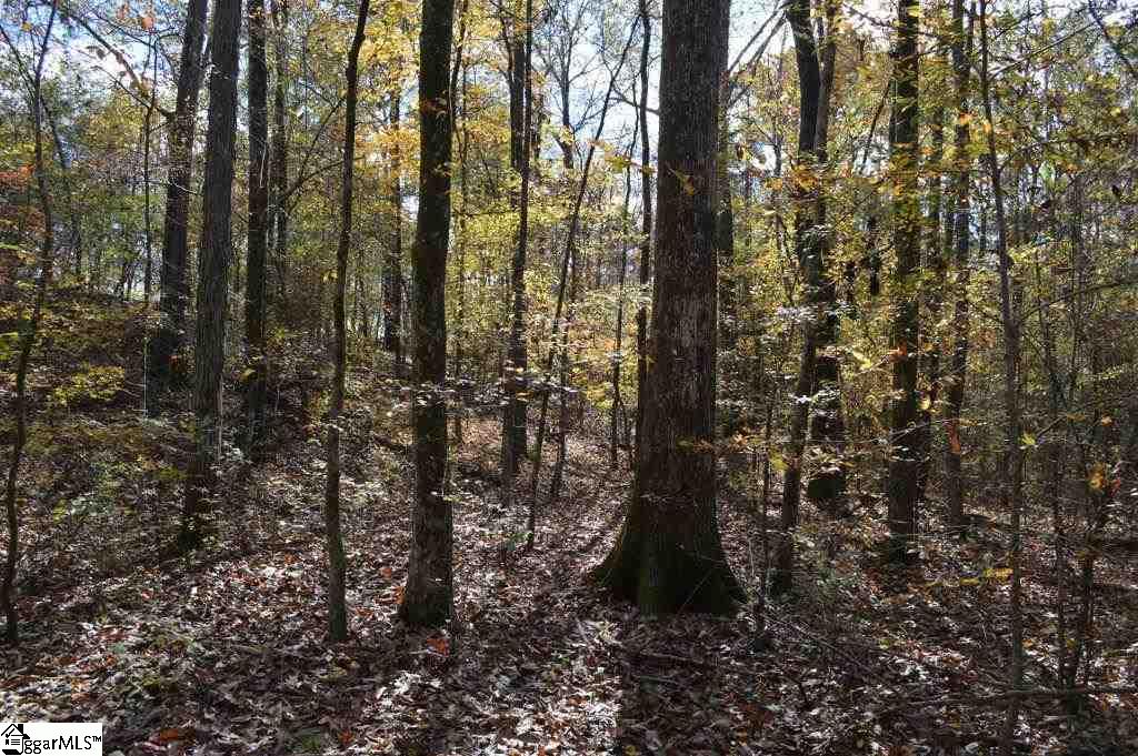 Kirby Road Waterloo, SC 29384 - Photo 10 of 20