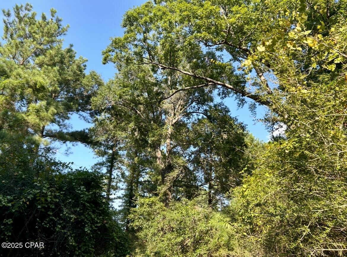 8645 Moores Mill Creek Road Baker, FL 32531 - Photo 22 of 38