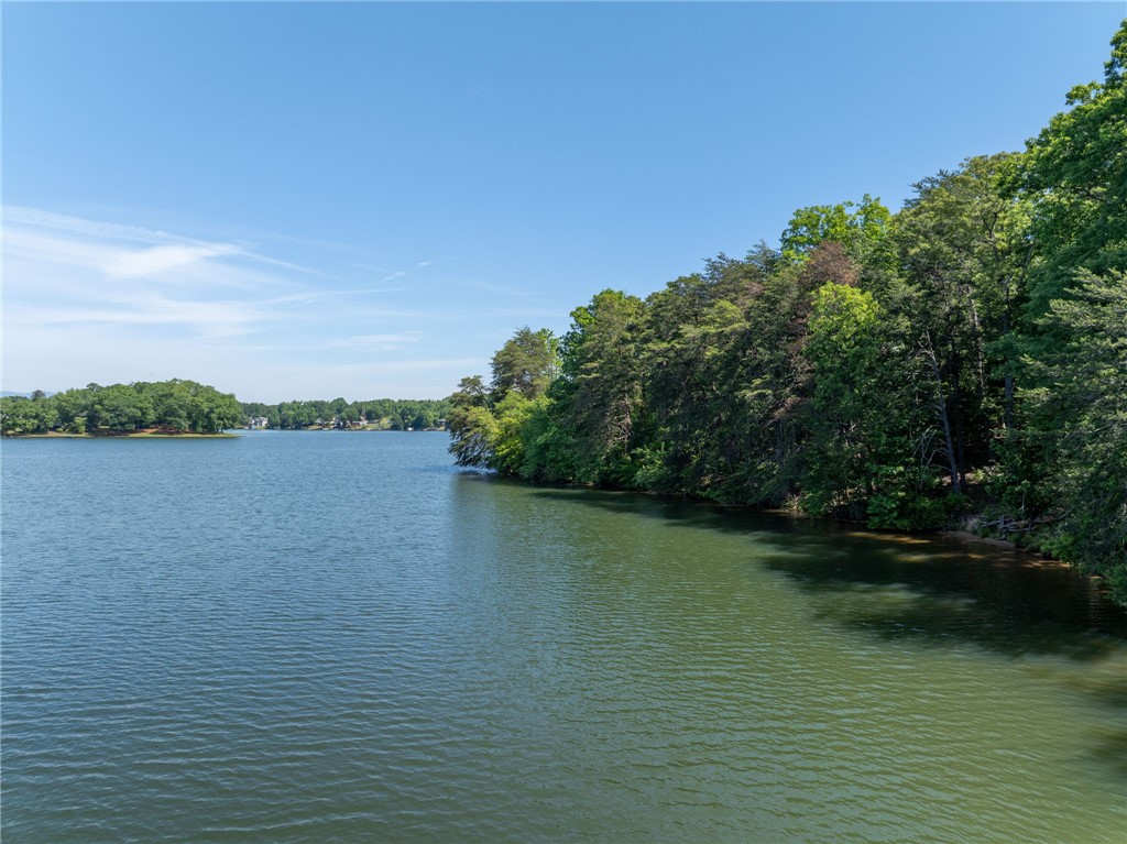 0 Ben Hurt Road Lyman, SC 29365 - Photo 13 of 21 Scenic water views and lush, mature trees define this tranquil lakeside property.