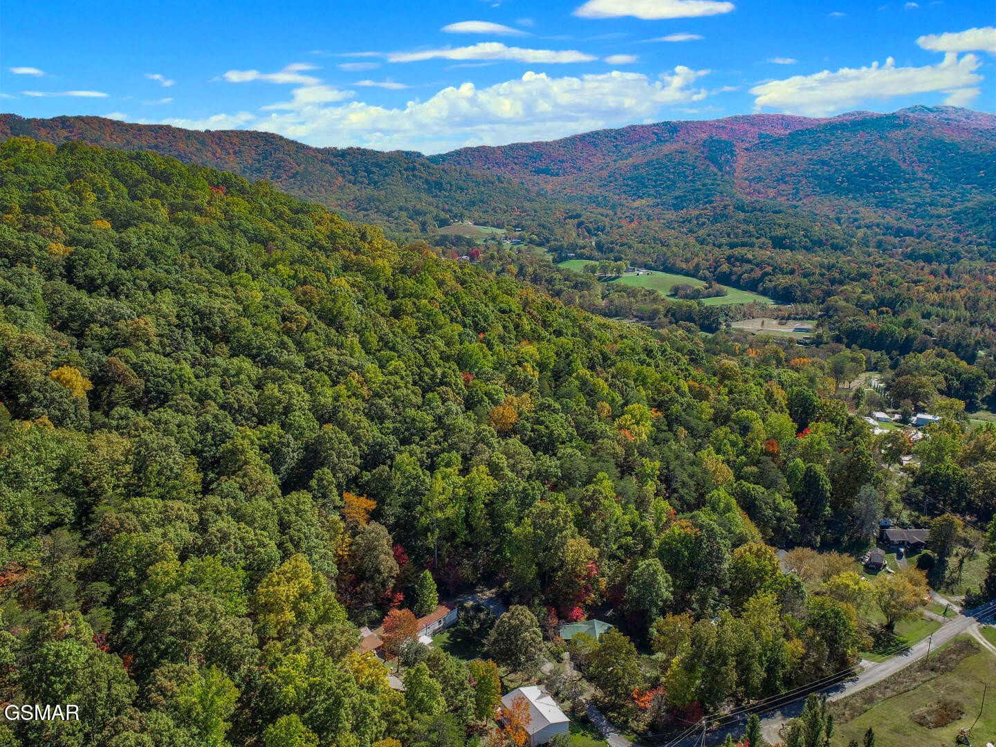 0 Piney Mountain Road Newport, TN 37821 - Photo 20 of 27 Gallery Image 20