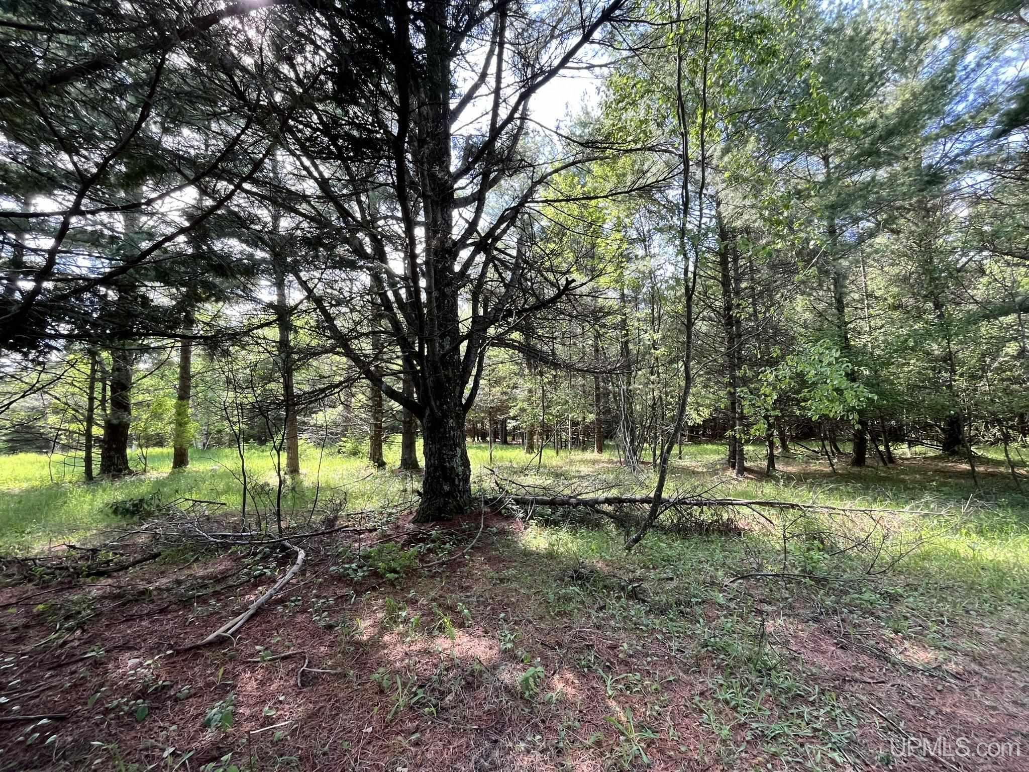 Tbd 16th Road Garden, MI 49835 - Photo 32 of 37