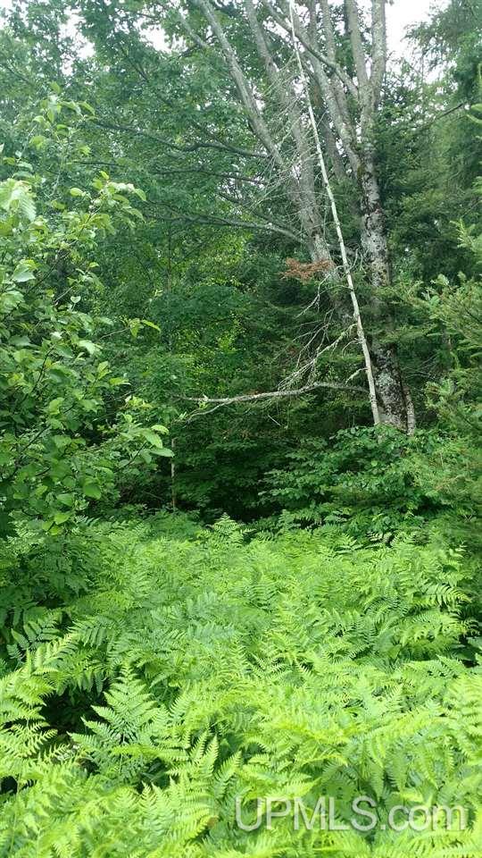5192 Witbeck Road Republic, MI 49879 - Photo 19 of 20