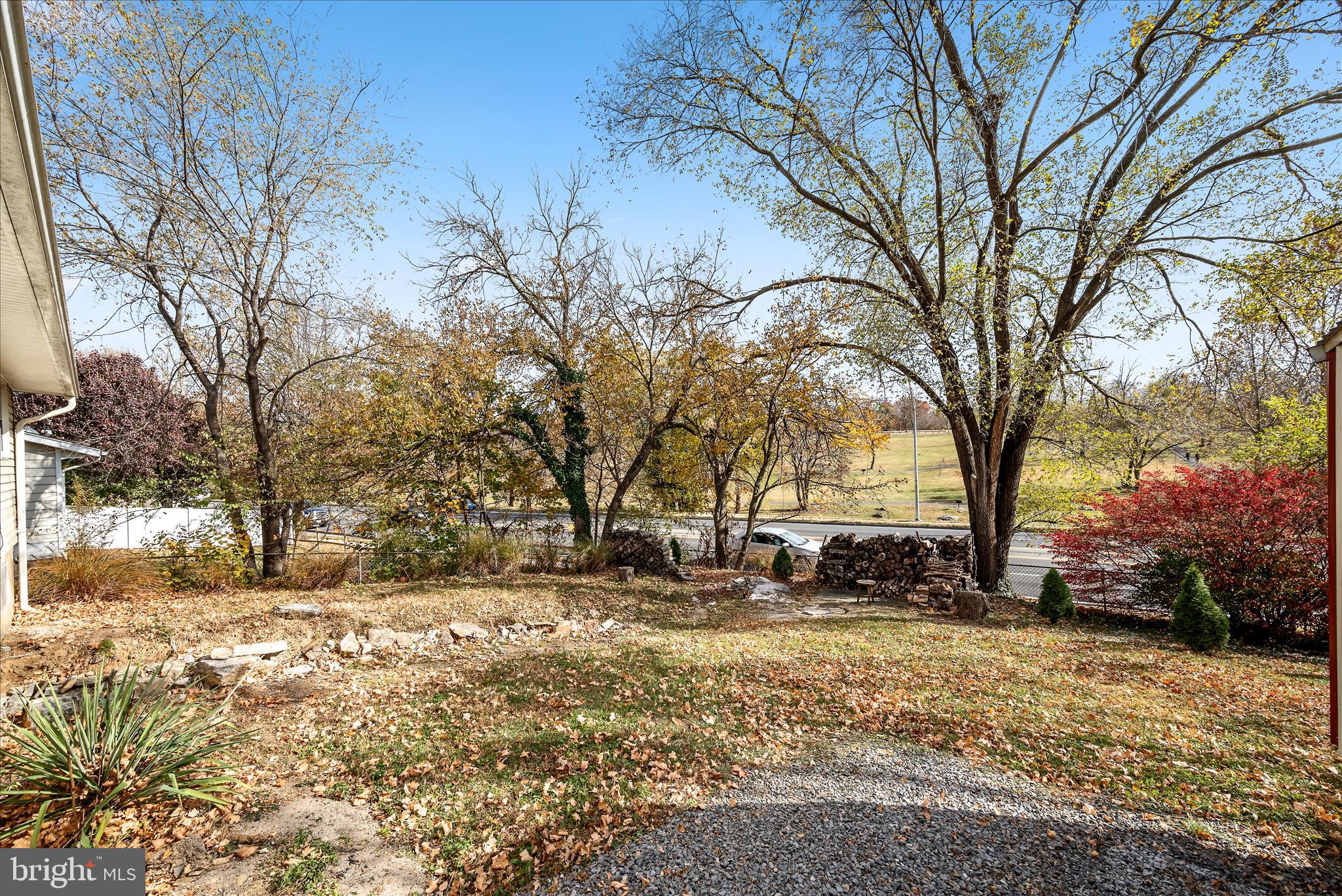 1116 Opequon Avenue Winchester, VA 22601 - Photo 28 of 30 a view of a yard with trees