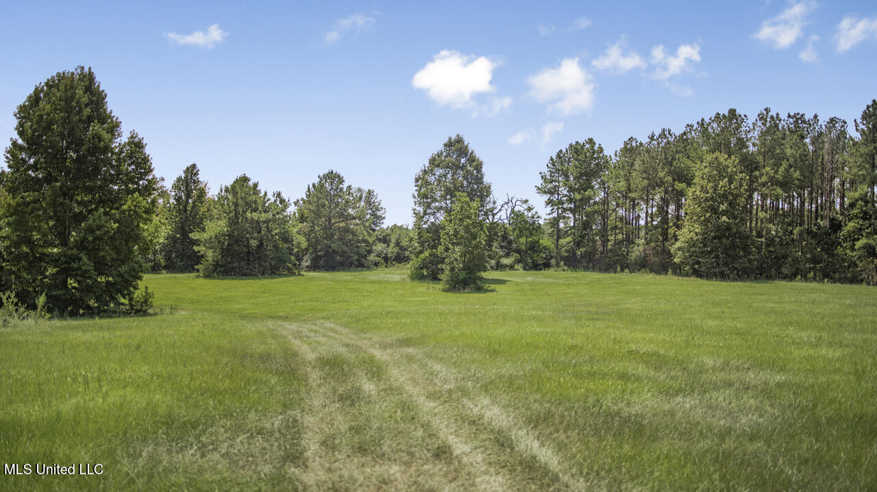 3088 Terrys Creek Road Magnolia, MS 39652 - Photo 40 of 64 570A1883