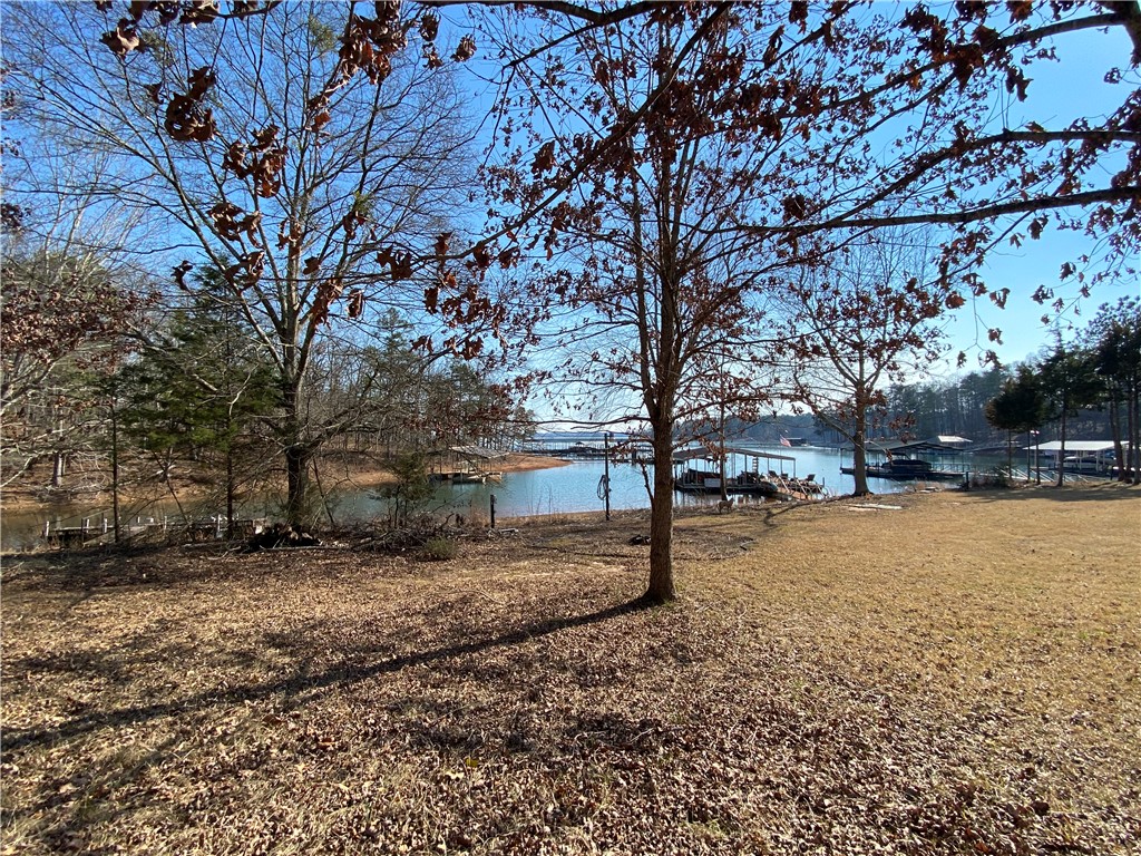 Lot E Majestic Shores Road Hartwell, GA 30643 - Photo 2 of 11 Lot E