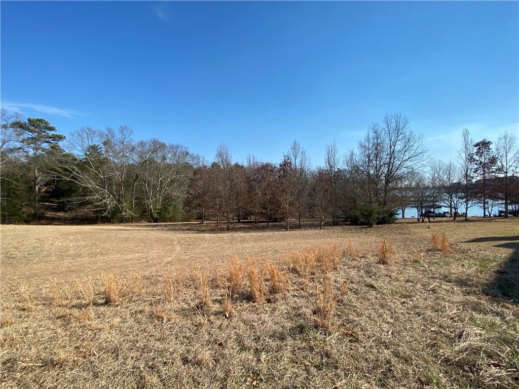 Lot E Majestic Shores Road Hartwell, GA 30643 - Photo 3 of 11 Lot E