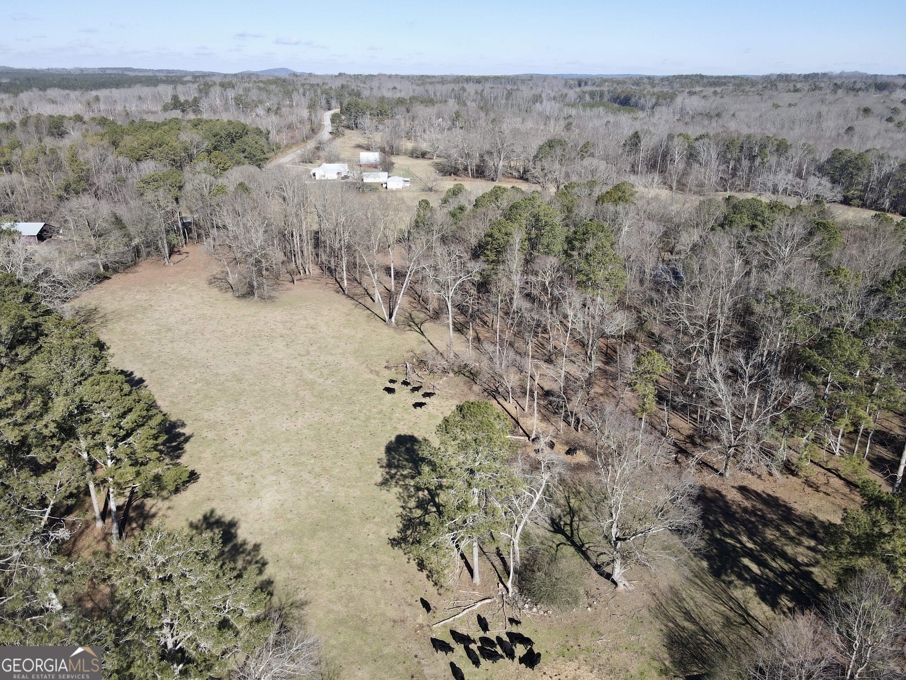 1120 Kansas Jake Road Waco, GA 30182 - Photo 41 of 42