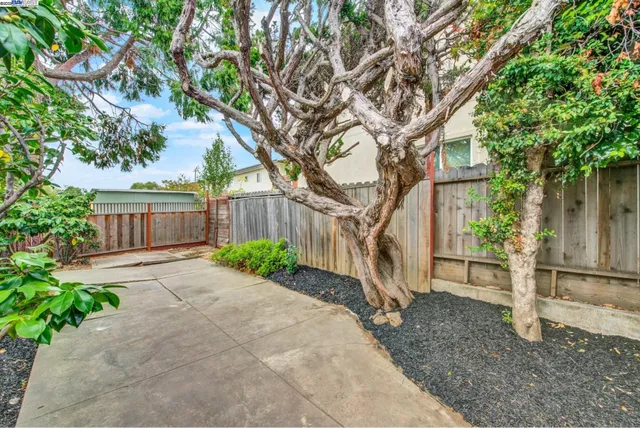 a backyard of a house with plants and trees