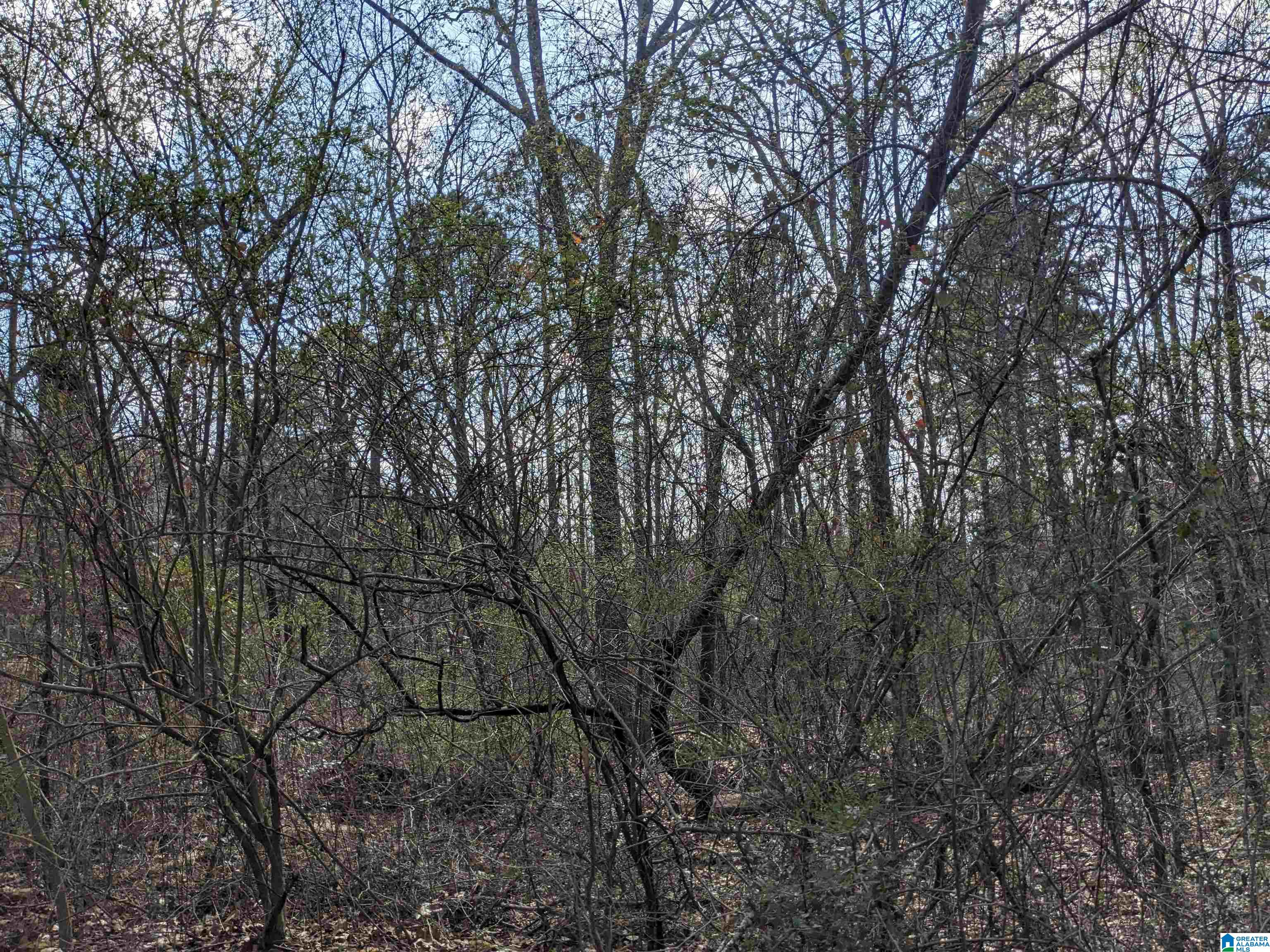0 Hathaway Heights Road, Unit 2 & 3 Anniston, AL 36207 - Photo 3 of 30