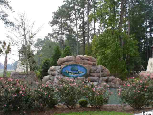 Lot 217 Chamberlin Road Myrtle Beach, SC 29588 - Photo 3 of 13 Gallery Image 3