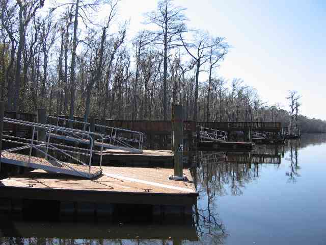 Lot 217 Chamberlin Road Myrtle Beach, SC 29588 - Photo 8 of 13 Gallery Image 8