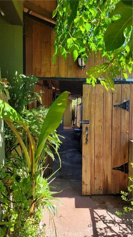 a picture of flowers