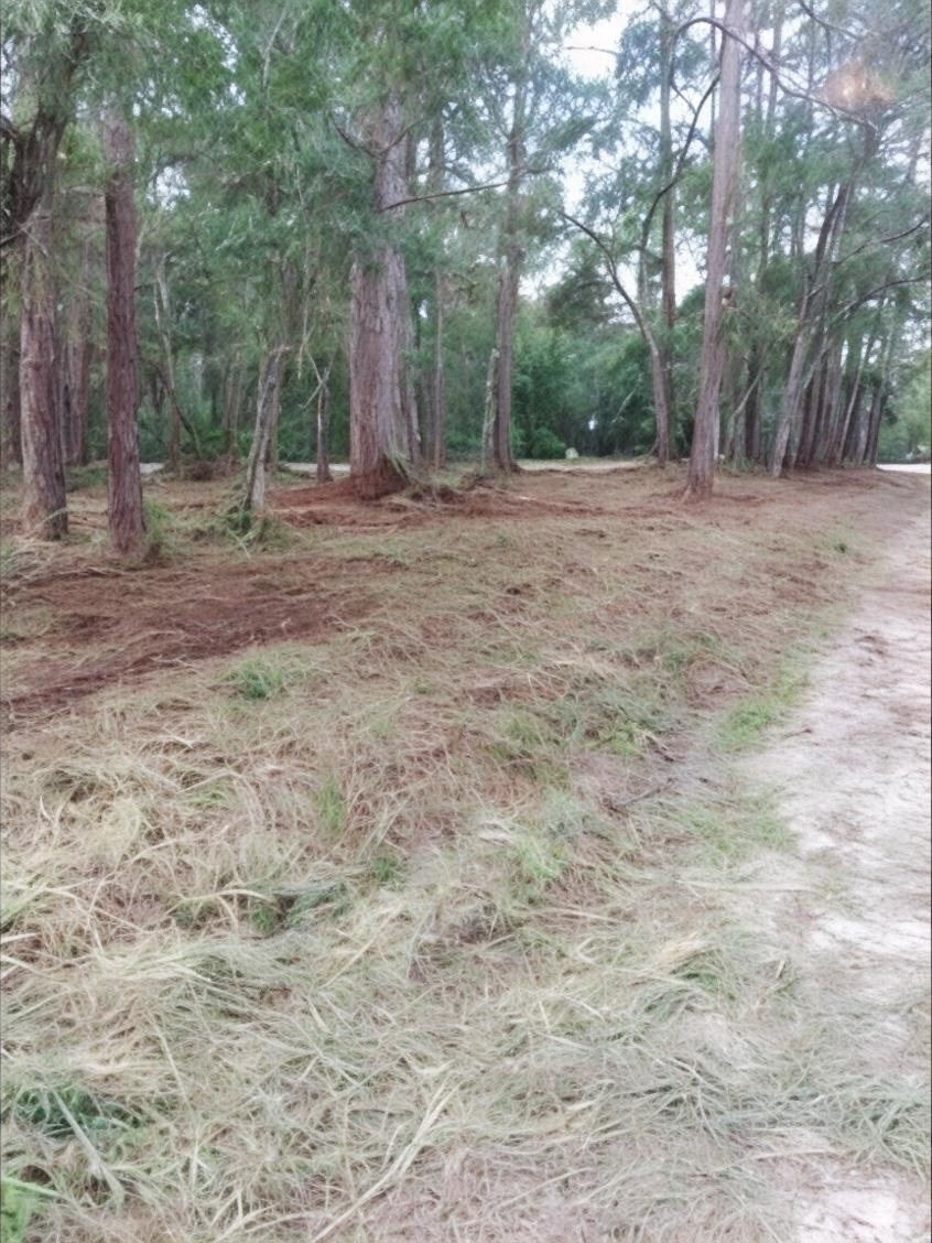 11-13 Levy Bay Road Panacea, FL 32346 - Photo 2 of 7