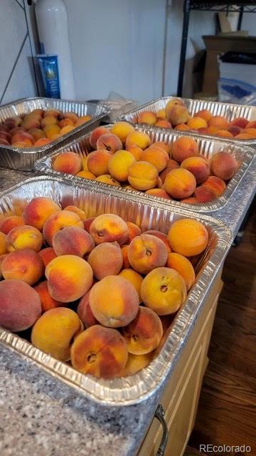 640 Pacific Avenue Fort Lupton, CO 80621 - Photo 24 of 30