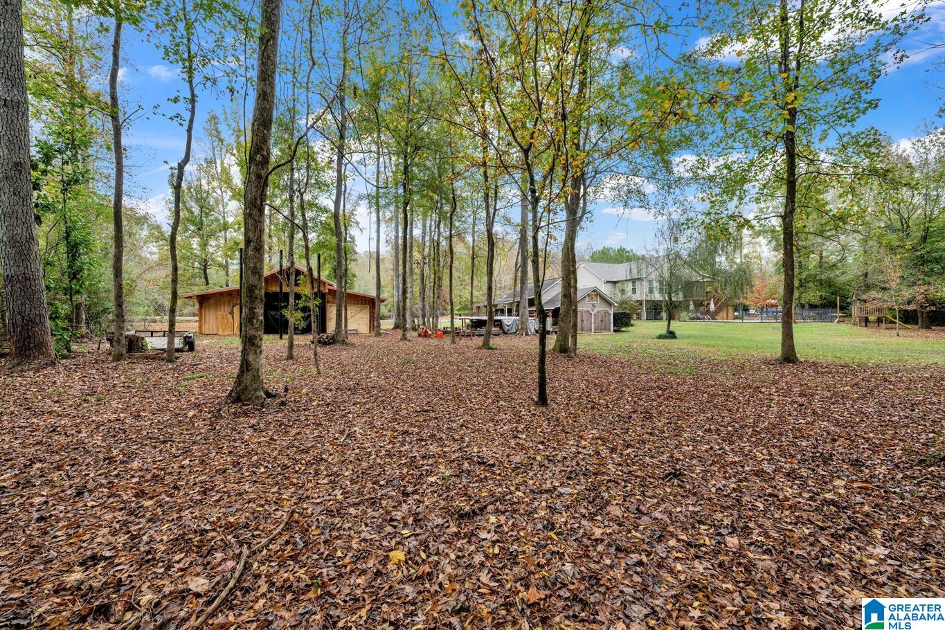 202 Overcreek Road Warrior, AL 35180 - Photo 36 of 51