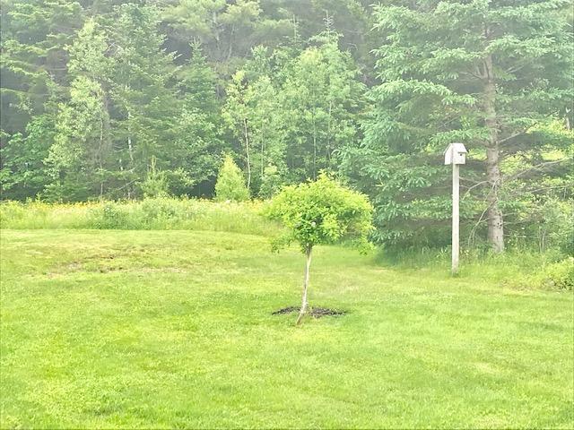 1081 Bucksmills Road Bucksport, ME 04416 - Photo 20 of 26 IMG_3130