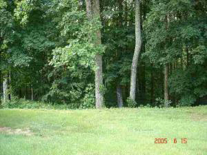 301 Heltonville Road East Bedford, IN 47421 - Photo 7 of 8