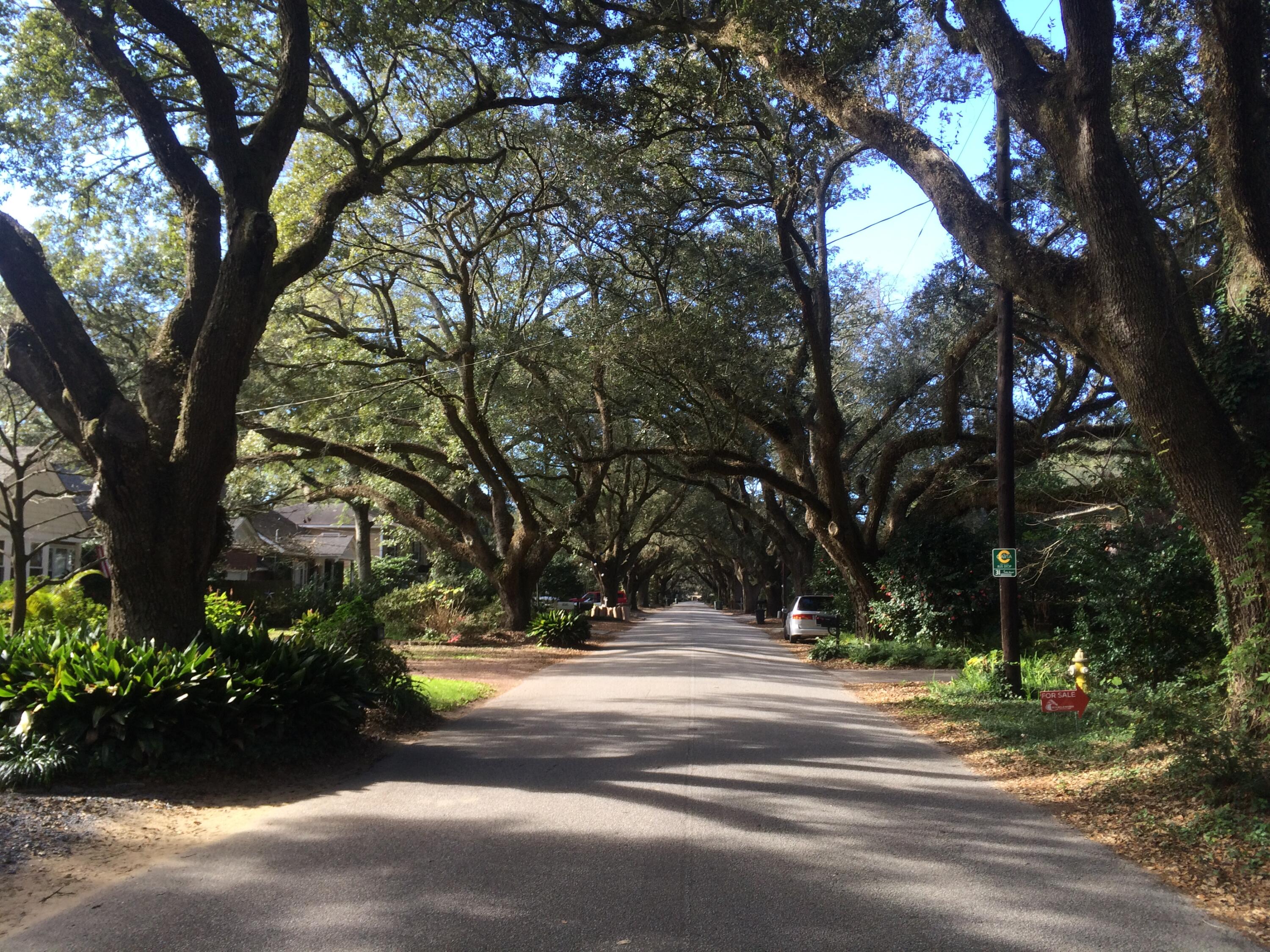 2119 Westrivers Road Charleston, SC 29412 - Photo 20 of 20 IMG_0093