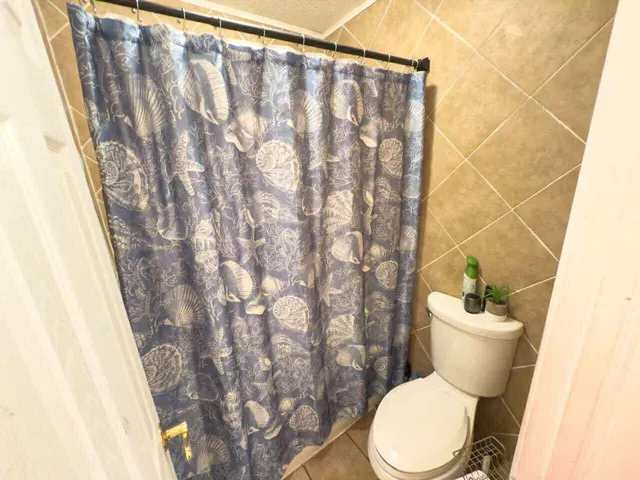 a white toilet sitting next to a shower curtain