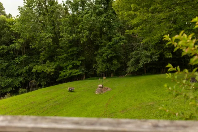 a view of a golf ground with huge green area and trees