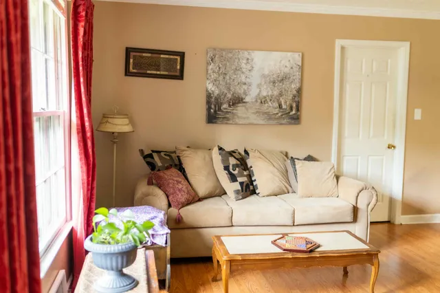 a living room with furniture and a potted plant