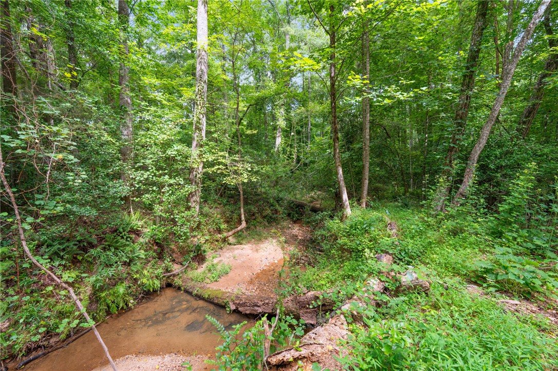 130 Chandler Road Easley, SC 29640 - Photo 6 of 24 A tranquil stream meanders through a naturally forested landscape, offering a private oasis.