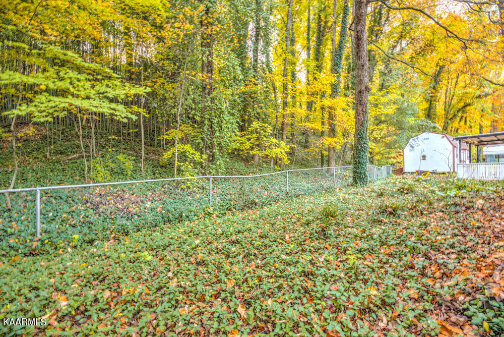 4618 Springbrook Road Knoxville, TN 37921 - Photo 25 of 25 DSC_9297_298_299_300_301
