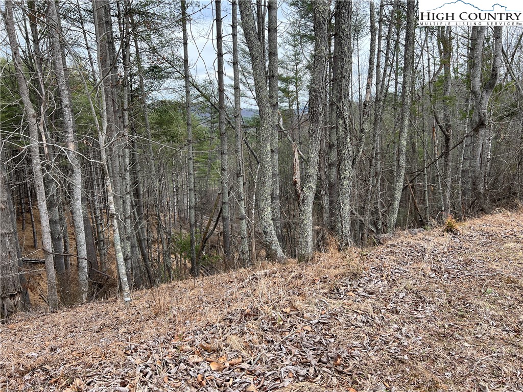 No # Edna Perry Road Crumpler, NC 28617 - Photo 1 of 6 a view of a yard with trees